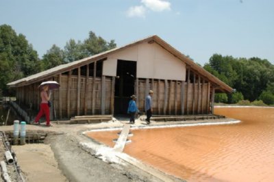 SAL 78  ALIMENTOS ELABORACION